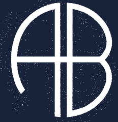 ANINE BING logo