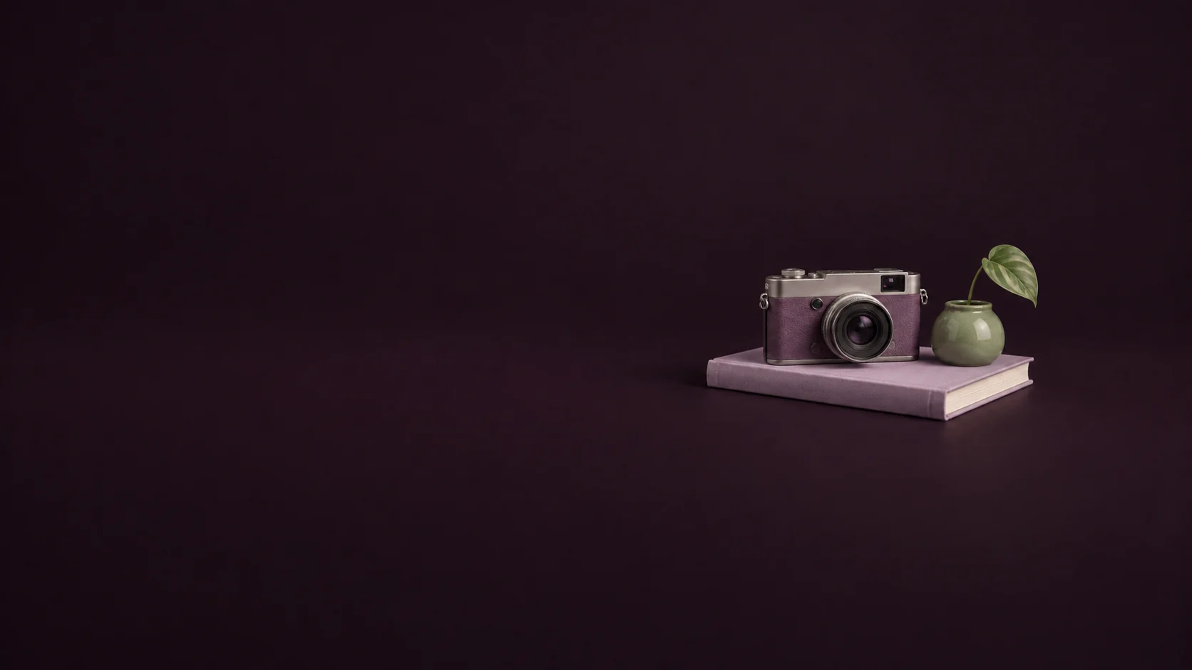 An unbranded camera and sage planter on a lilac book.
