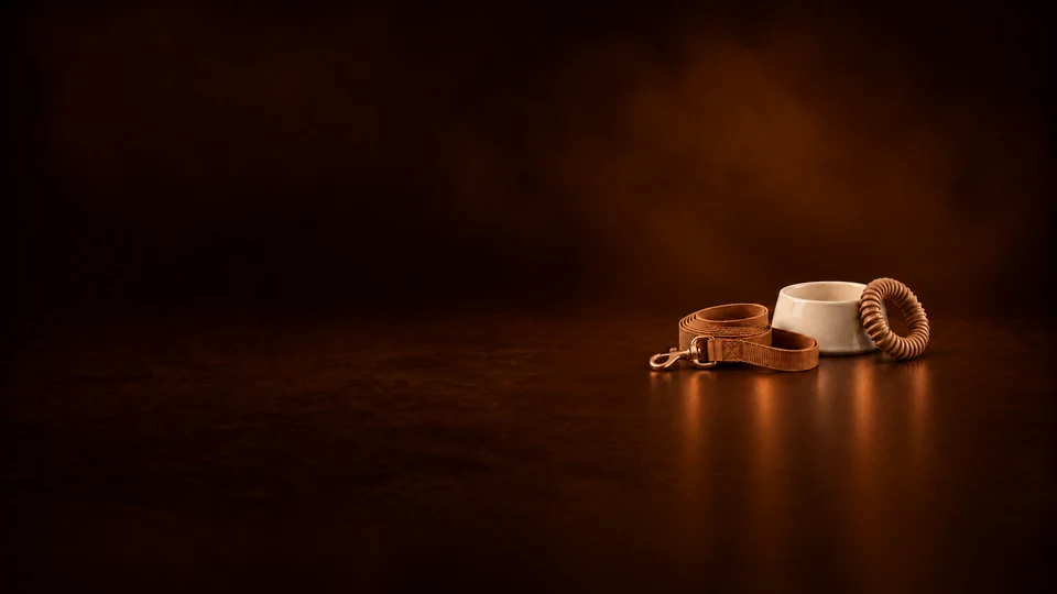 Coiled fabric leash beside an ivory pet bowl and a ribbed rubber play ring.